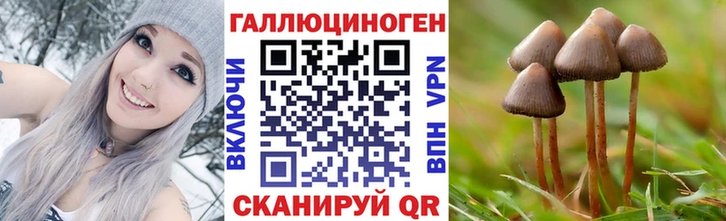 Галлюциногенные грибы MAGIC MUSHROOMS купить наркоту Шимановск